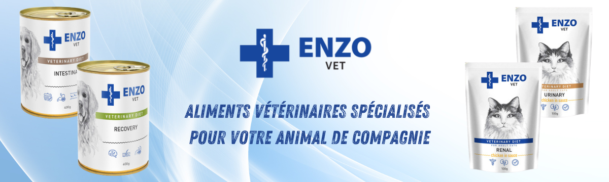 Enzo-Vet - 14.11.2024