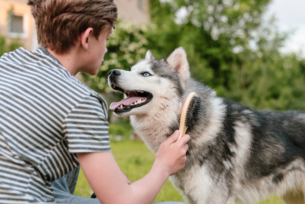 COMMENT CHOISIR LA BROSSE ADAPTÉE AU TYPE DE PELAGE DE MON CHIEN ?