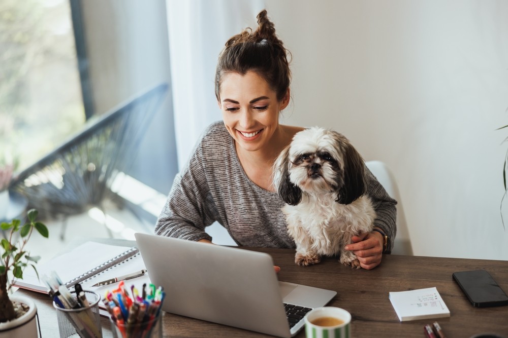 LE CHIEN AU BUREAU ET LA PRODUCTIVITÉ DES EMPLOYÉS - COMMENT CRÉER UN ENVIRONNEMENT FAVORABLE AUX ANIMAUX DE COMPAGNIE SUR LE LIEU DE TRAVAIL