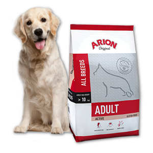 ARION Original Adult All Breeds Actives 12kg + Surprise gratuite pour chien