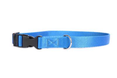 DogStuffs Collier avec boucle en plastique 20mm/30-55cm bleu