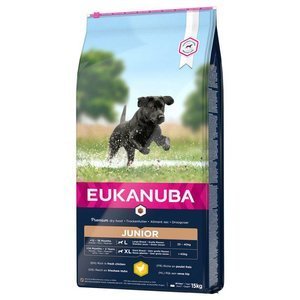 Eukanuba Junior Large 15kg