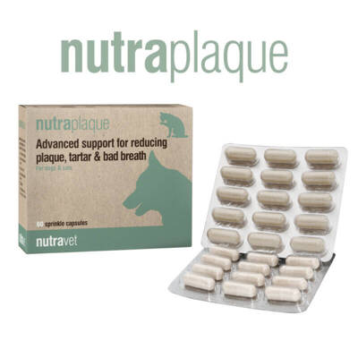 NUTRAVET Nutraplaque pour chiens et chats 60 gélules - Soutien avancé pour la réduction de la plaque dentaire, du tartre et de la mauvaise haleine