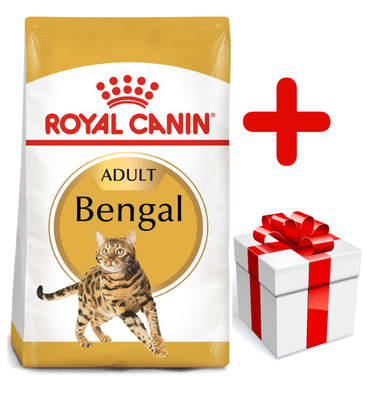 ROYAL CANIN Bengal Adult 10kg+Surprise