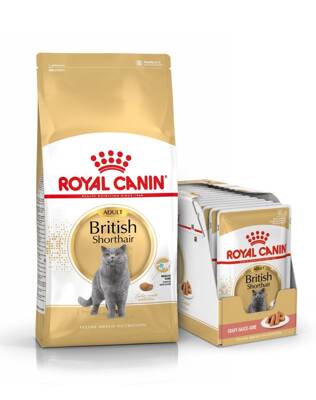 ROYAL CANIN British Shorthair Adult 10kg + sachet British Shorthair Adult 12x85g