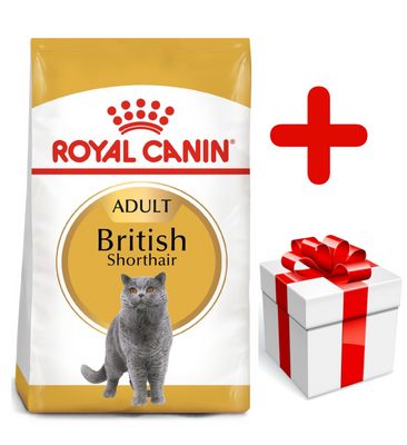 ROYAL CANIN British Shorthair Adult 10kg + surprise pour votre chat GRATUITES !