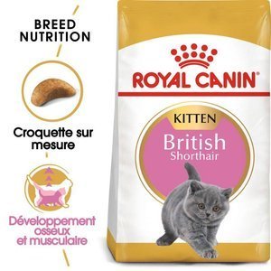 ROYAL CANIN British Shorthair Kitten 2kg x2