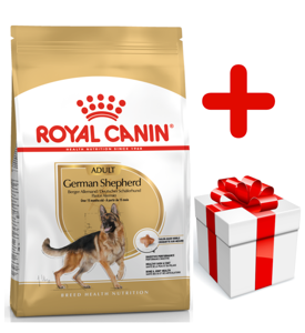 ROYAL CANIN German Shepherd Adult 11kg + surprise pour votre chien GRATUITES !