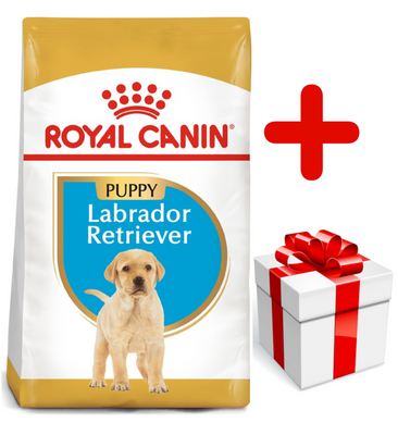 ROYAL CANIN Labrador Retriever Puppy 12kg+ Surprise