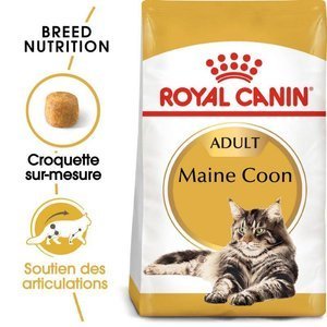ROYAL CANIN Maine Coon Adult 10kg x2