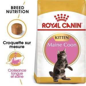 ROYAL CANIN Maine Coon Kitten 10kg + GIMBORN Gim Cat Multi-vitamine Duo Pâte avec fromage 50g GRATUIT
