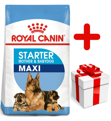 ROYAL CANIN Maxi Starter Mother & Babydog 15kg + Surprise pour votre chien GRATUITES !