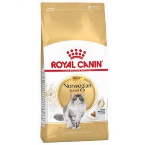 ROYAL CANIN Norwegian Forest Cat Adult 10kg