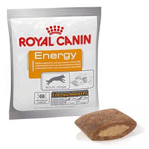 ROYAL CANIN Nutritional Supplement Energy 50g
