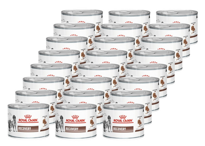 ROYAL CANIN Recovery 195g x24
