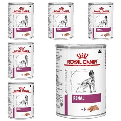 ROYAL CANIN Renal 6 x 410g