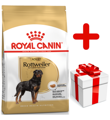 ROYAL CANIN Rottweiler Adult 12kg + Surprise pour votre chien GRATUITES !