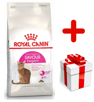 ROYAL CANIN Savour Exigent 10kg + surprise pour votre chat GRATUITES !