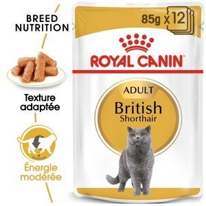 Royal Canin British Shorthair Adult 12x85g  x2