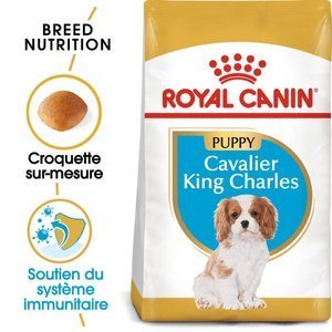 Royal Canin Cavalier King Charles Spaniel Puppy 1,5kg