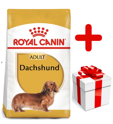 Royal Canin Dachshund Adult 7,5kg +Surprise