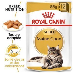 Royal Canin Maine Coon Adult 12x85g  x2