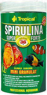 Tropical Super Spirulina Forte Mini Granulés 250ml x2