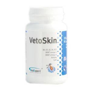 VETEXPERT VetoSkin 90 capsules