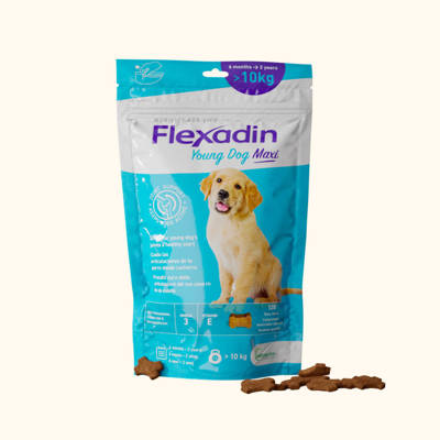VETOQUINOL Flexadin Young Dog Maxi 60 dosettes