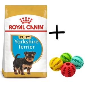 ROYAL CANIN Yorkshire Terrier Puppy 7,5kg+ Balle à friandises pour chien 6cm