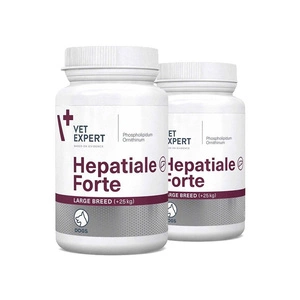 VETEXPERT Hepatiale Forte Large Breed  2x40 Comprimés