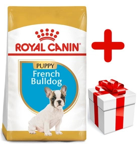 ROYAL CANIN French Bulldog Puppy 10kg + Surprise Gratuite pour votre chien