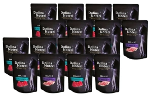 Dolina Noteci Premium pour chats Mélange d'arômes 20x85g