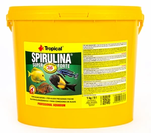 Tropical Super Spirulina Forte 5l x2