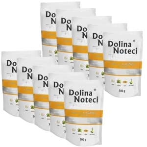Dolina Noteci Premium Canard au potiron 10x500g