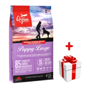 Orijen Dog Puppy Large 11,4kg+Surprise