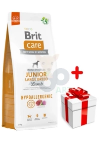BRIT CARE Chien Hypoallergénique Junior Grande Race Agneau 12kg+Surprise