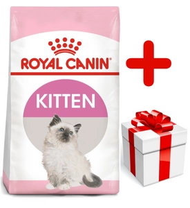 ROYAL CANIN Kitten 10kg + surprise pour votre chat GRATUITES !