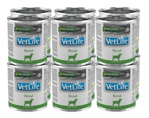 Farmina Vet Life Canine Renal 300g x12