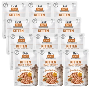 BRIT CARE Cat Chaton Filets en sauce au saumon savoureux enrichis à l'argousier et à la capucine 12x85g