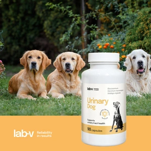 LAB-V Urinaire Chien - Soutien pour l'infection urinaire chez le chien 90 gélules