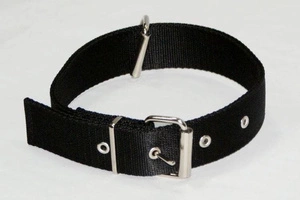 Dingo Collier avec fermeture libre pour laisse de chien Noir 70cm