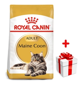 ROYAL CANIN Maine Coon Adult 4kg+Surprise