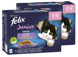 FELIX Fantastic Junior gelée ; 24x85g