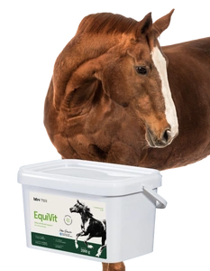 Lab-v EquiVit – aliment diététique pour chevaux, soutient l'immunité et les articulations 2 kg