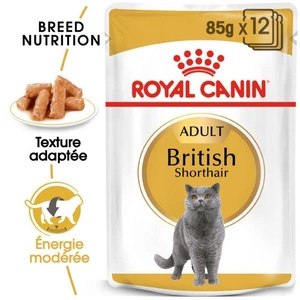 Royal Canin British Shorthair Adult 12x85g