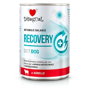Disugual Aliment humide pour chien Veterinary RECOVERY Agneau (adulte) 400 g