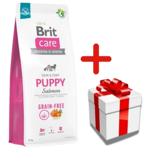 BRIT CARE Dog Grain-free Puppy Salmon 12kg+Surprise