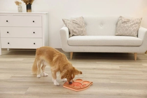 Jouet éducatif pour chien Kerbl, hibou, rose/brun, 30 x 28 cm