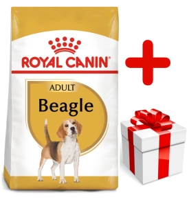 ROYAL CANIN Beagle Adult 12kg+Surprise